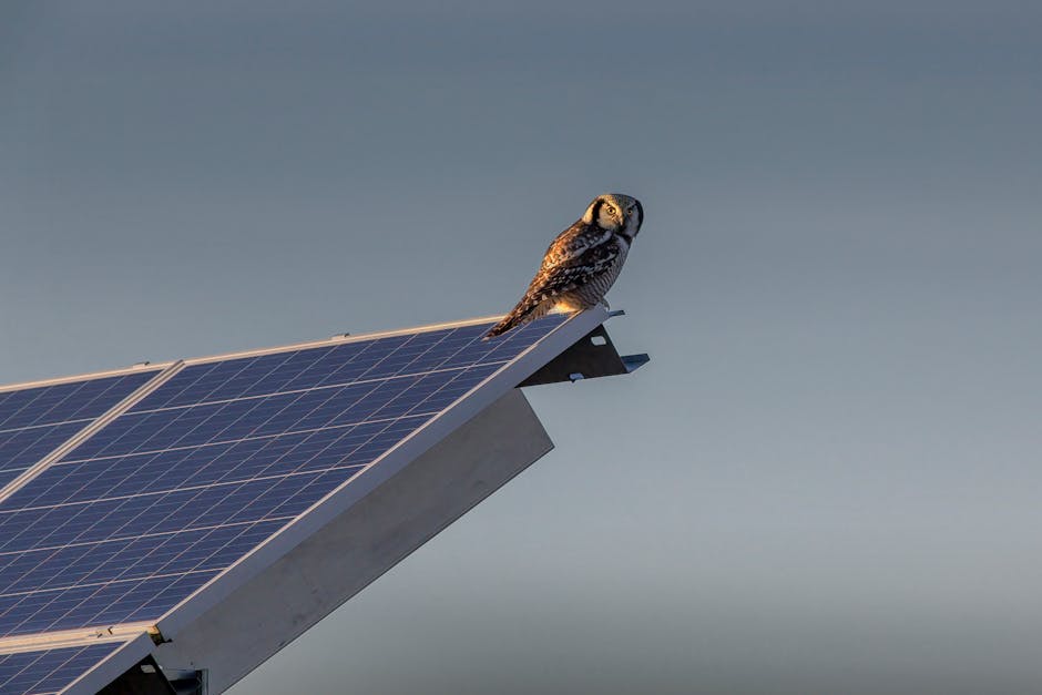 Solar Panels installation in Heaton Chapel — costs and installers 2026