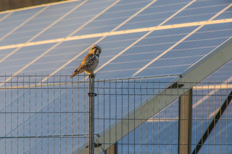 Solar Panels grants in Moss Side